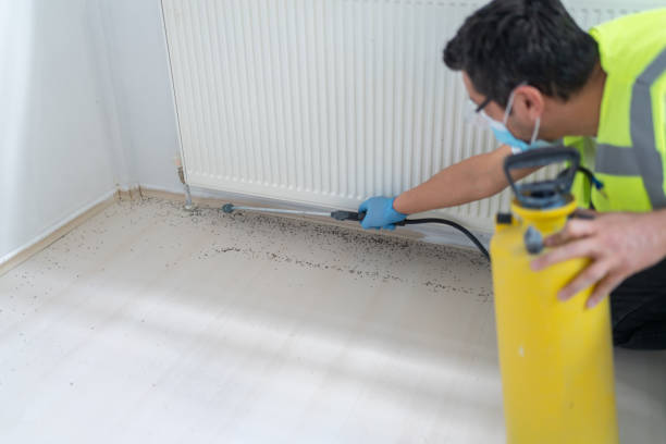 Best Mosquito Control Services  in Flagstaff, AZ